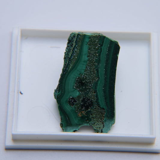 Malachite from Zaire, Democratic Republic of the Congo - 6.43g - Luna Panther
