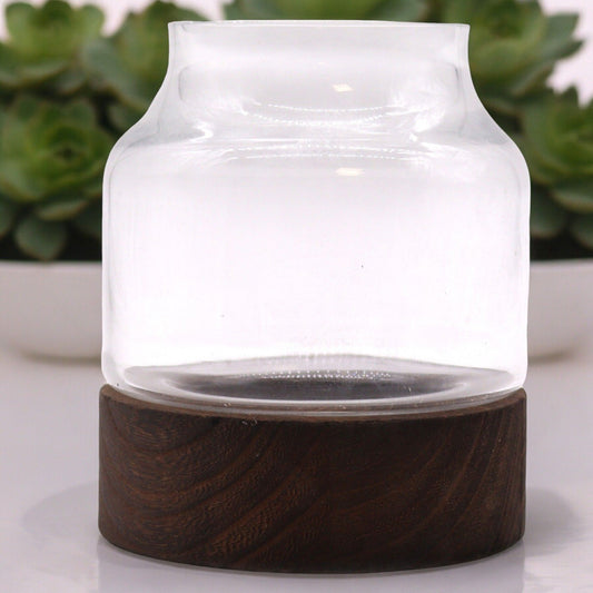 Medium Shaped Terrarium on Dark Tung Wood - Luna Panther