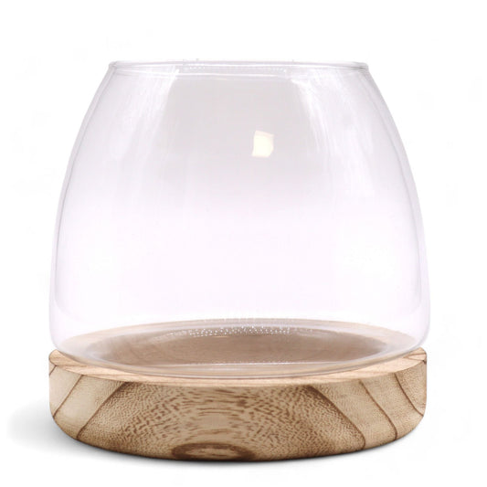 Medium Terrarium on Natural Tung Wood - Luna Panther