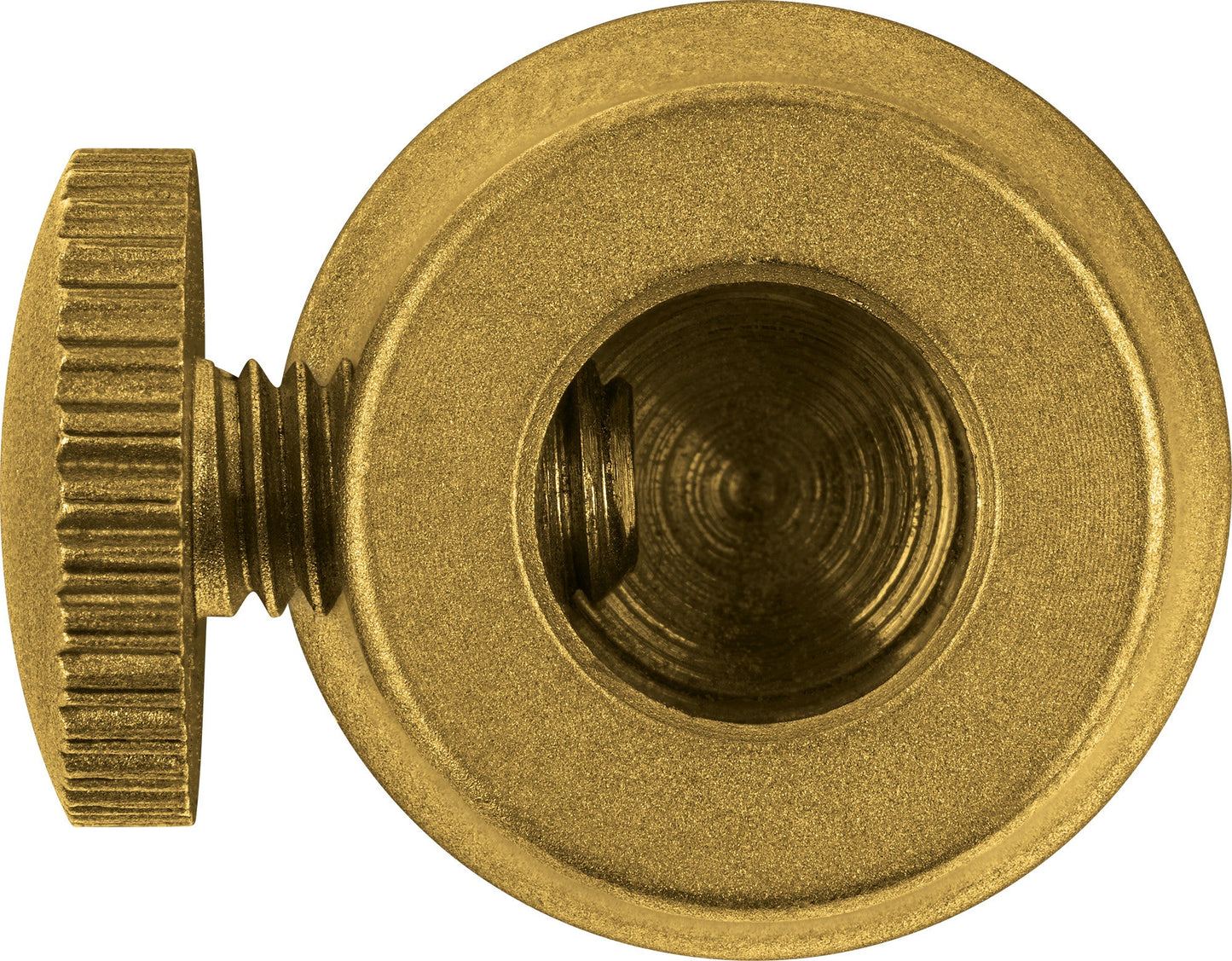 MEINL Sonic Energy Tuning Fork Vibration Foot Small - Gold - Luna Panther