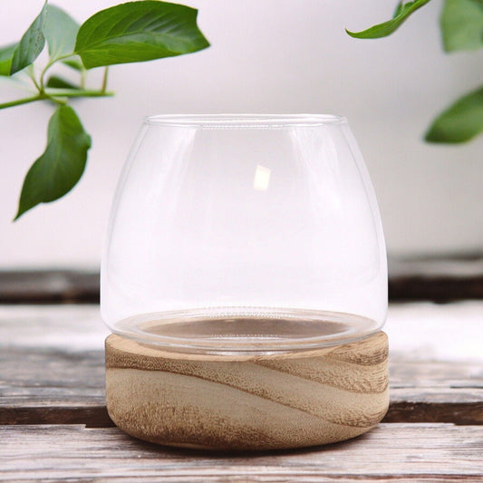 Mini Terrarium on Natural Tung Wood - Luna Panther