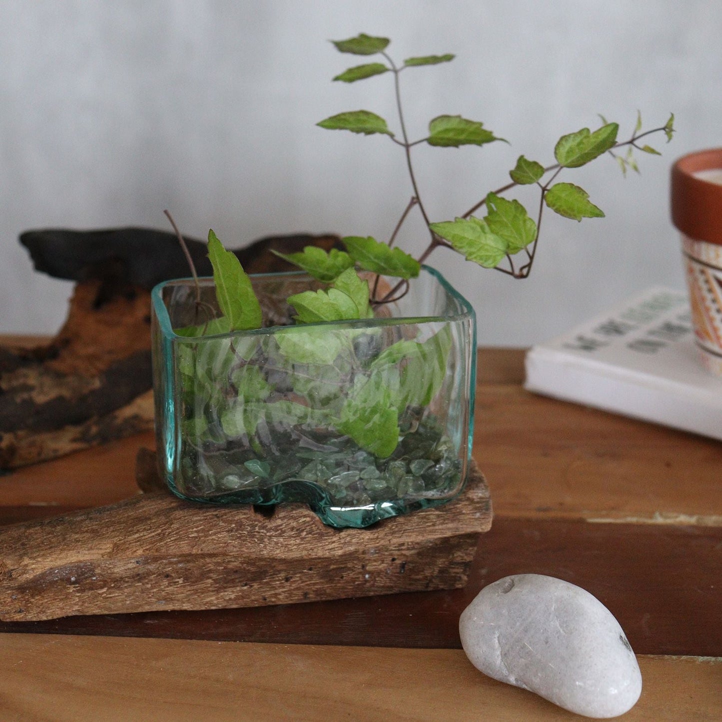 Molten Glass Tank on Wood with Stand - Medium Bowl - Luna Panther