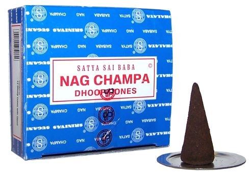 Polished Nagchampa Dhoop Cones featuring natural patterning and unique variations - Luna Panther