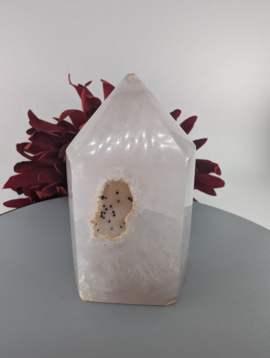 Polished Natural Agate Polished Point 268g 90mm featuring banded patterns and glossy finish - Luna Panther