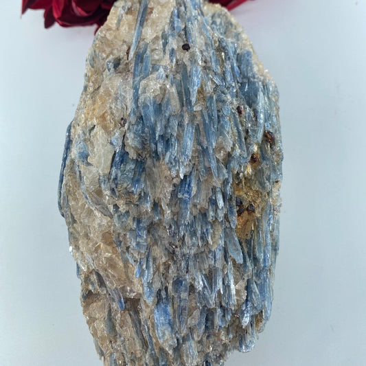 Natural Natural Blue Kyanite In Schist Specimen 1184G featuring blade-like texture and blue sheen - Luna Panther alternate view