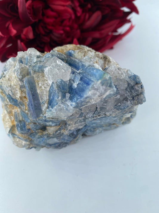 Natural Natural Blue Kyanite In Schist Specimen 775G featuring blade-like texture and blue sheen - Luna Panther alternate view