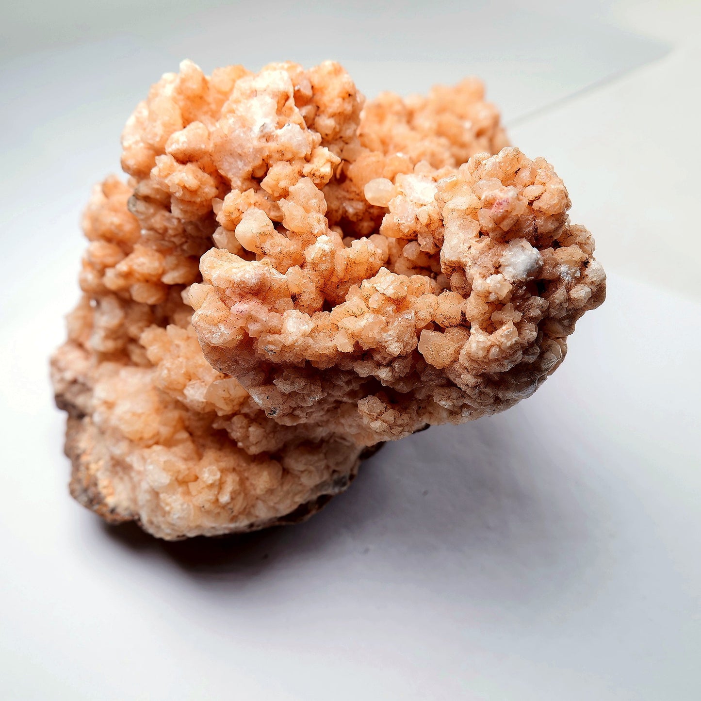 Orange Aragonite Cave Calcite Cluster on Matrix - 1200g - Luna Panther