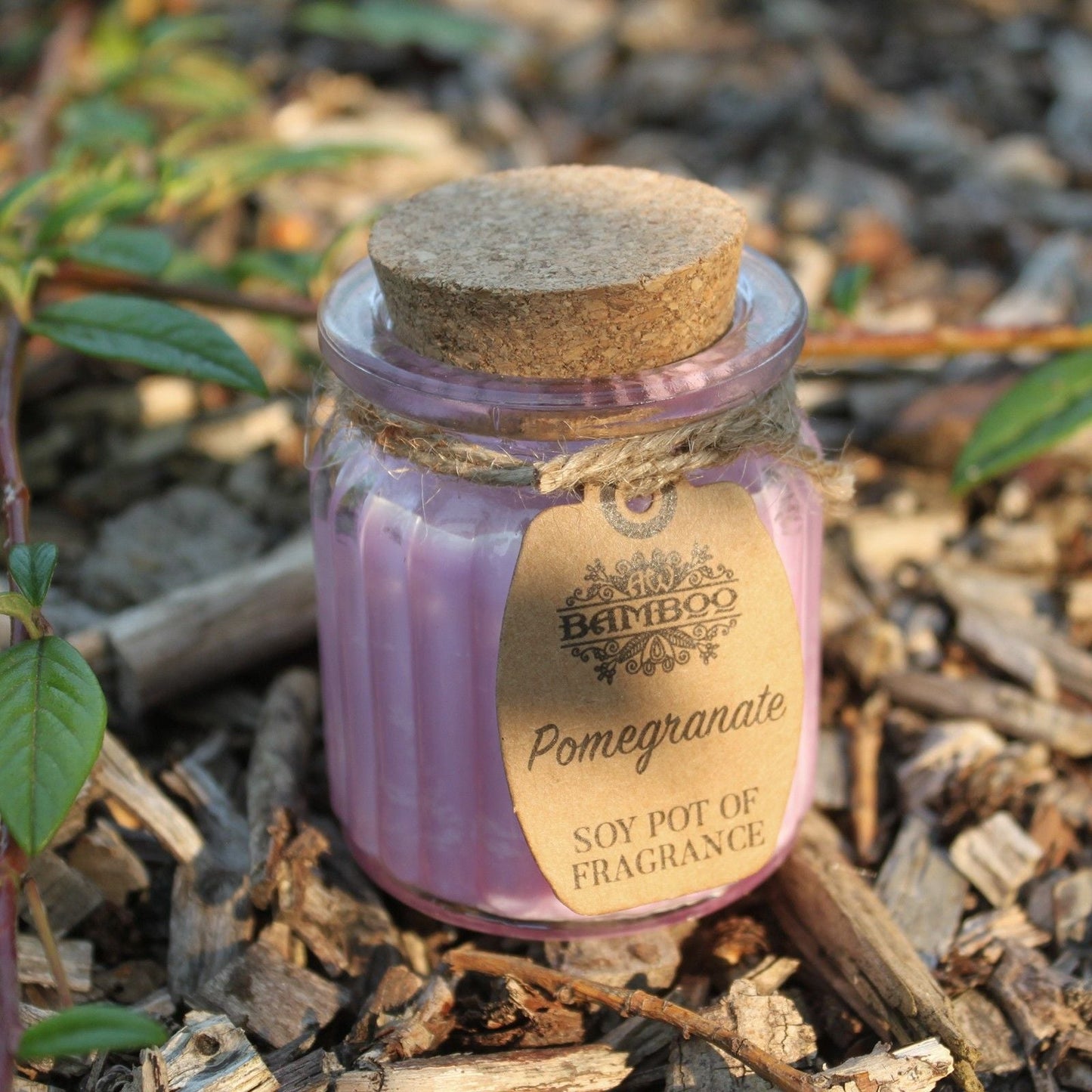 Pomegranate Soy Pot of Fragrance Candles - Luna Panther