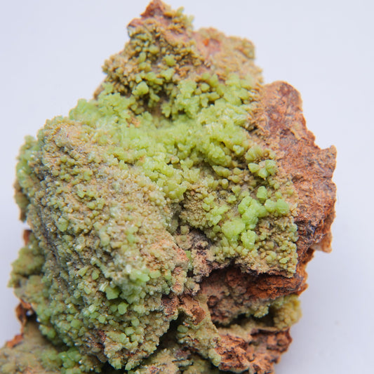Pyromorphite from Trevinnick Mine, St Kew, Cornwall - 38.35g - Luna Panther
