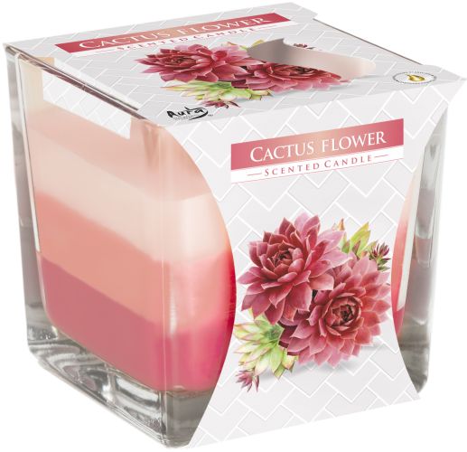Rainbow Jar Candle - Cactus flower - Luna Panther