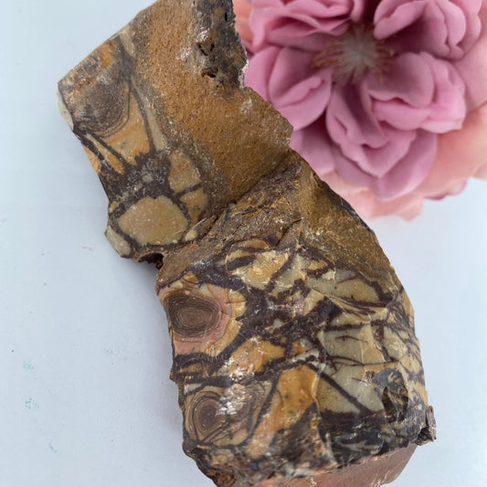 Natural Rough Nguni Jasper 300 grams featuring earthy patterns and matte-gloss finish - Luna Panther