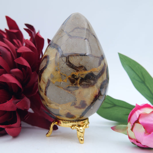 Polished Septeria With Calcite Aragonite Egg 593G featuring warm brown star-like clusters - Luna Panther alternate view