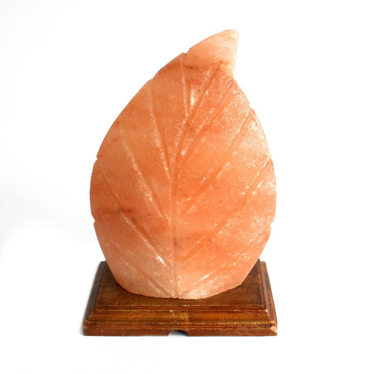 Polished Shape Salt Lamp - Fern featuring natural patterning and unique variations - Luna Panther