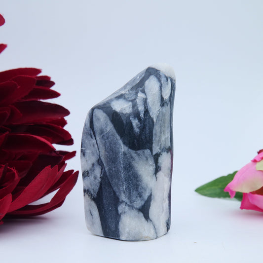 Shell Jasper Freeform - 160g - Luna Panther