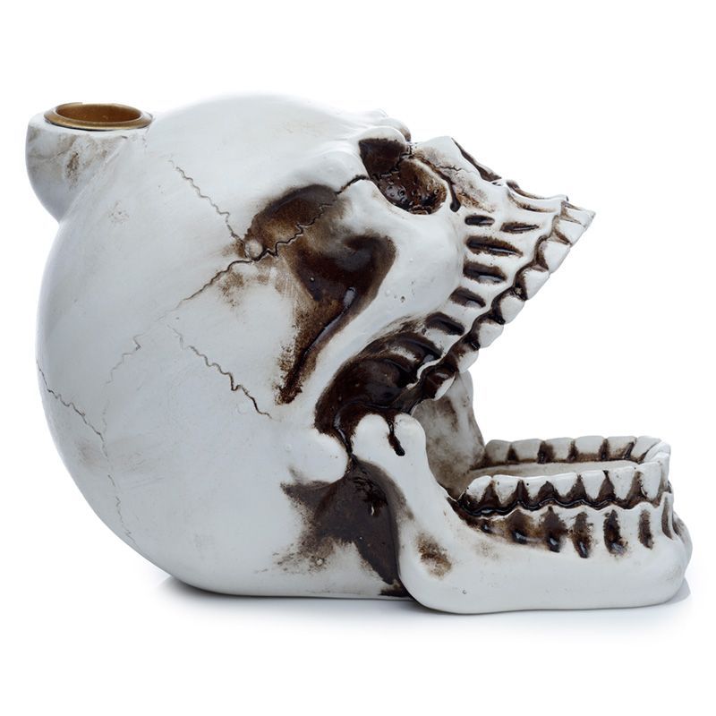 Polished Skull With Open Mouth Backflow Incense Burner featuring natural patterning and unique variations - Luna Panther