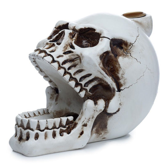 Polished Skull with Open Mouth Backflow Incense Burner featuring natural patterning and unique variations - Luna Panther