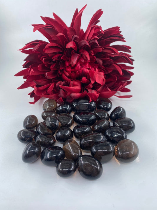 Polished Smoky Quartz - Tumble Stone featuring smoky brown hues and natural clarity - Luna Panther