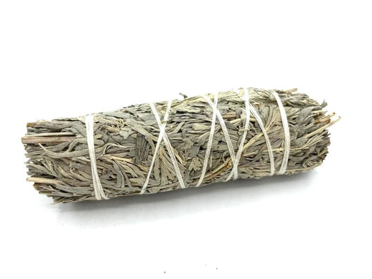 Polished Smudge Stick - Blue Sage 10 cm featuring natural patterning and unique variations - Luna Panther