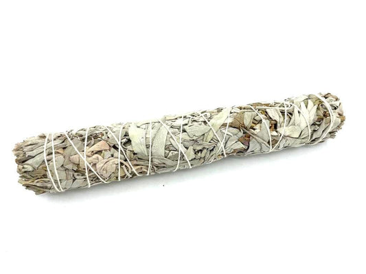 Polished Smudge Stick - White Sage 22.5 cm featuring natural patterning and unique variations - Luna Panther