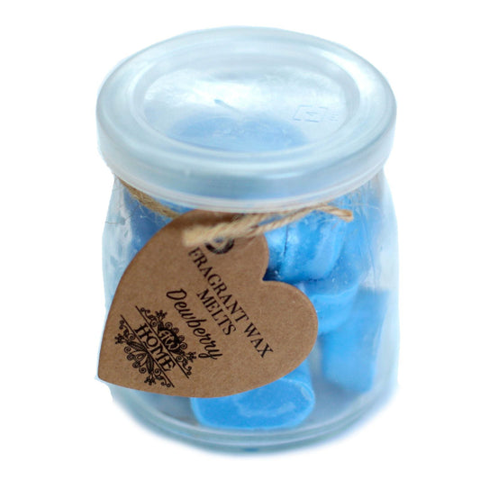 Soywax Melts Jar - Dewberry - Luna Panther