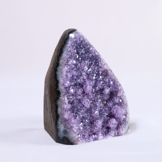 Uruguayan Polished Amethyst Geode - Luna Panther
