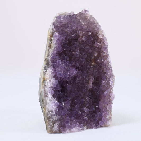 Uruguayan Polished Amethyst Geode - Luna Panther