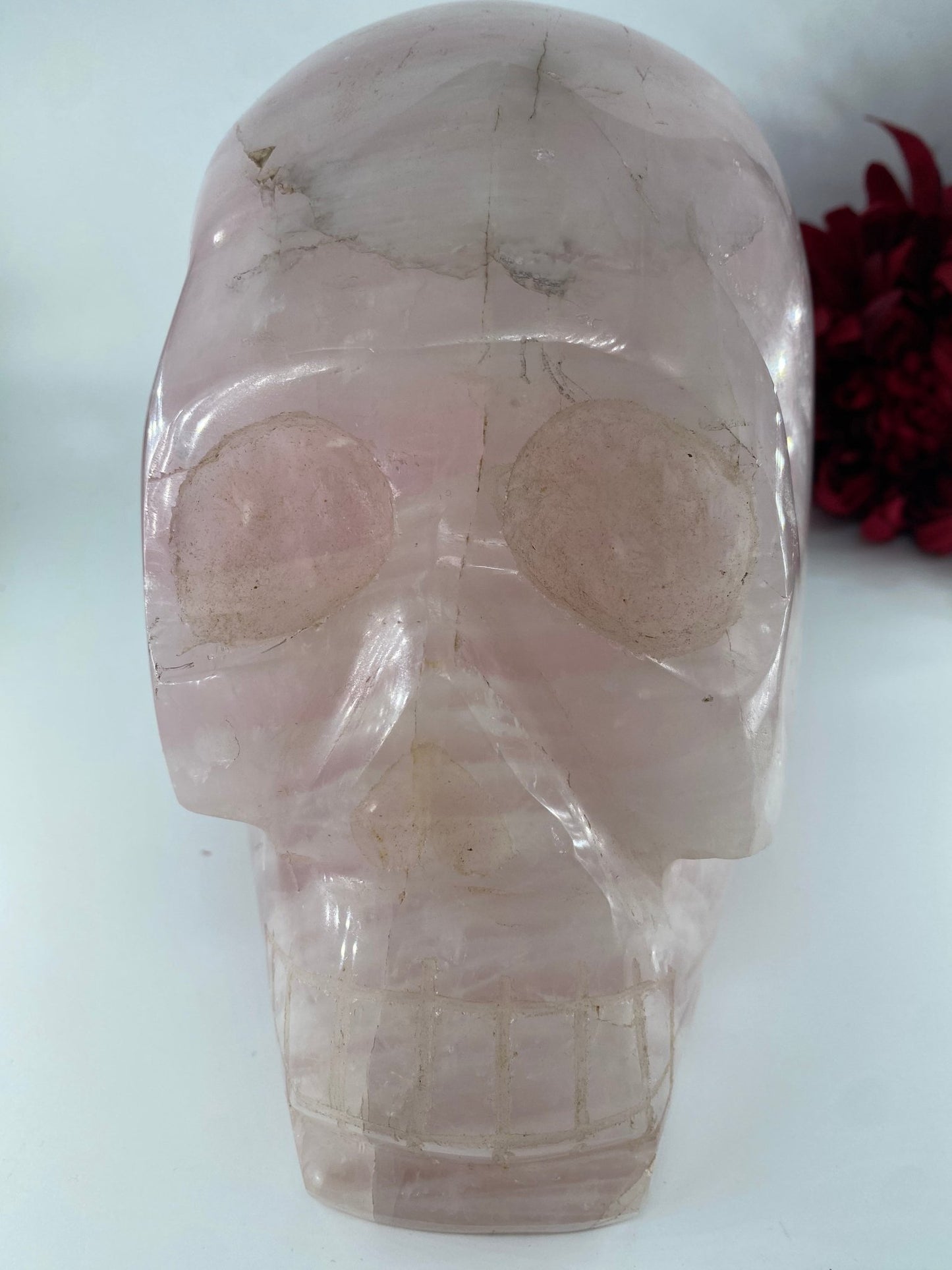 Polished XXXL Rose Quartz Skull featuring soft pink tone and gentle translucence - Luna Panther