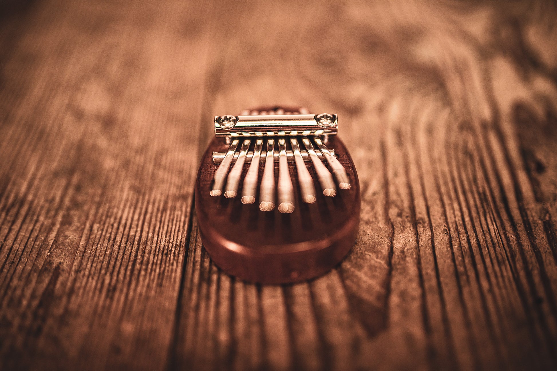 Meinl Sonic Energy Mini Kalimba - 8 notes, sapele detail view 8 at Luna Panther
