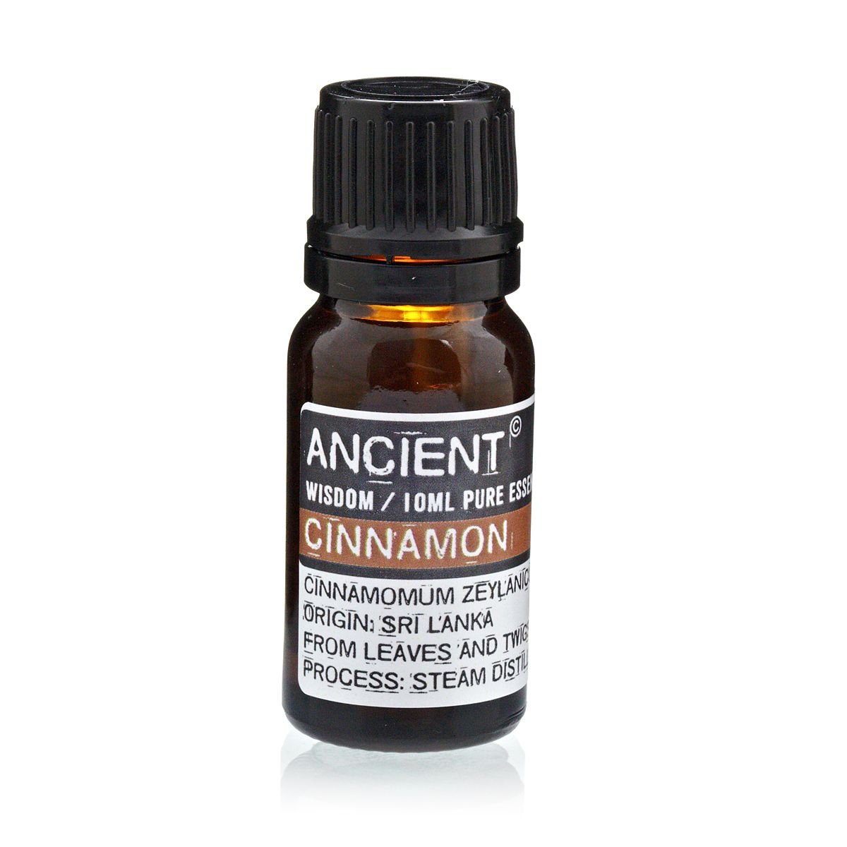 Polished 10 ml Cinnamon Essential Oil featuring natural patterning and unique variations - Luna Panther
