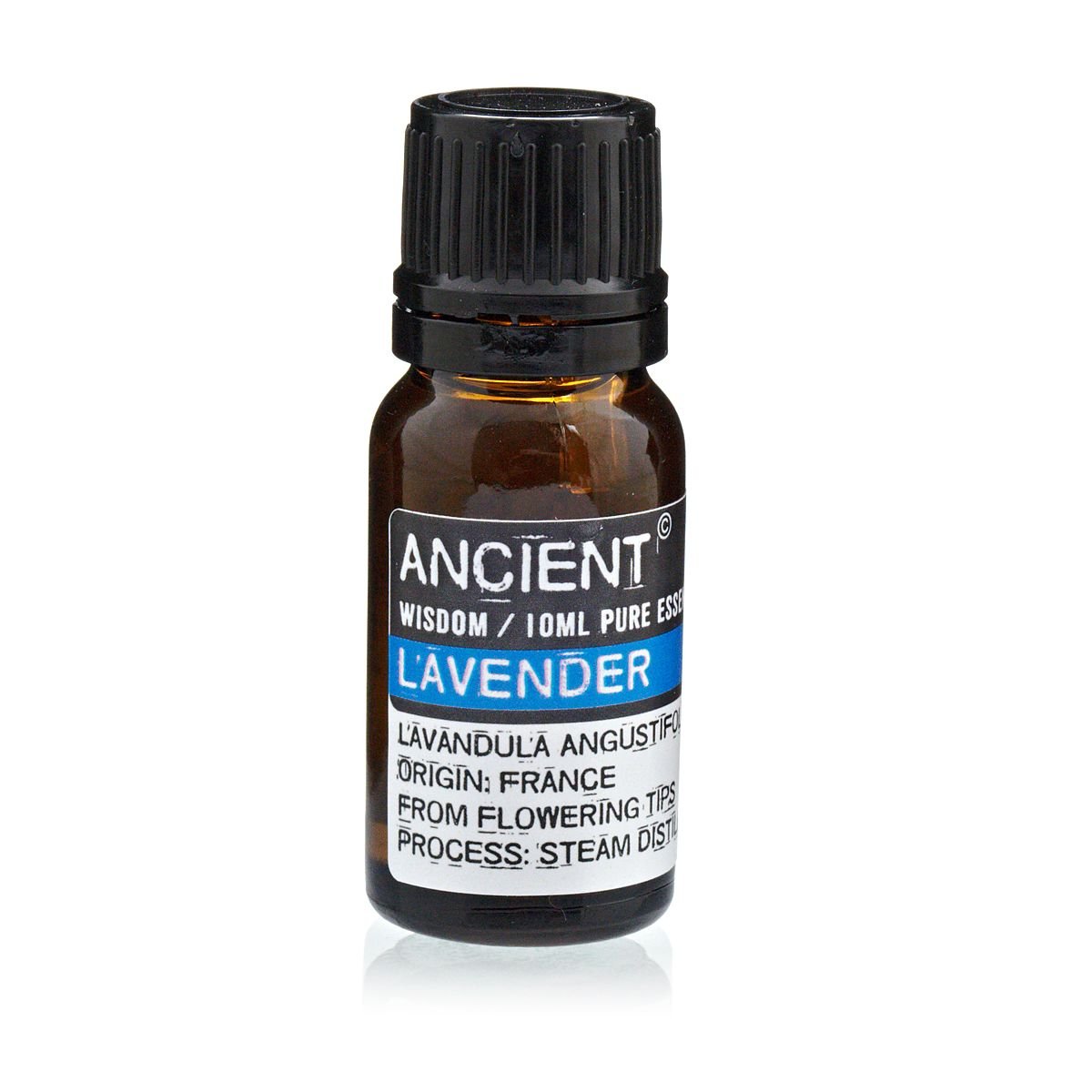 Polished 10 ml Lavender Essential Oil featuring natural patterning and unique variations - Luna Panther