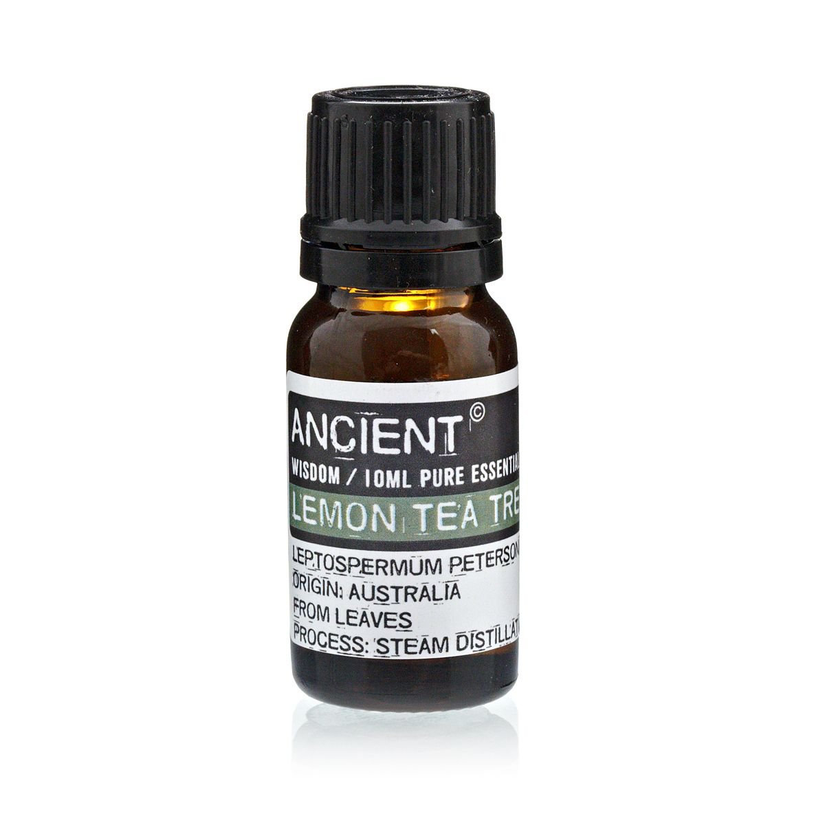 Polished 10 ml Lemon Tea Tree featuring natural patterning and unique variations - Luna Panther