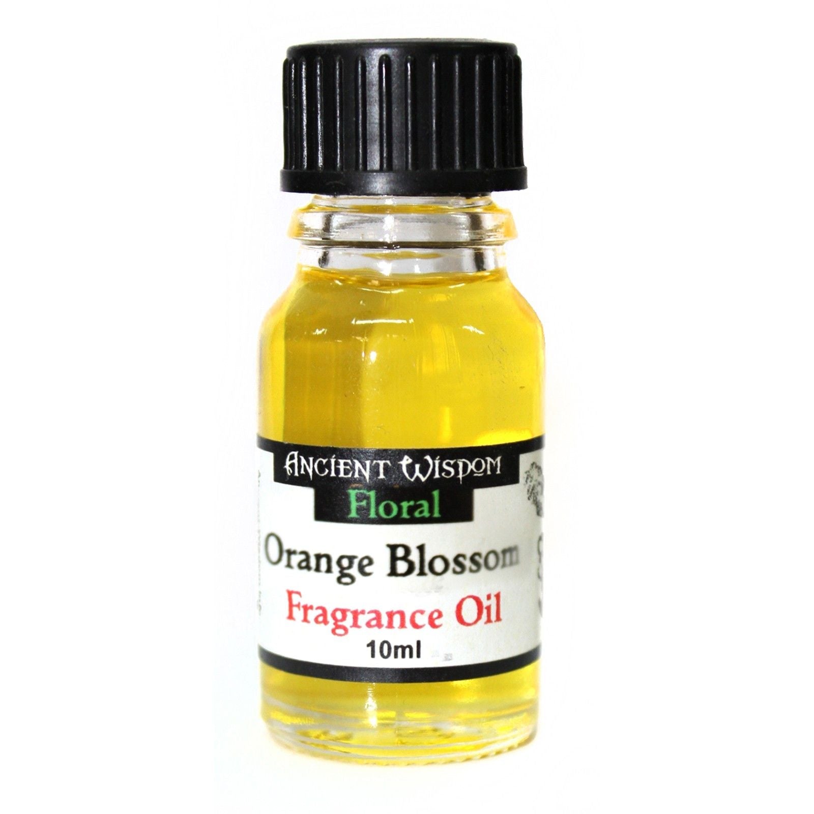 10ml Orange Blossom Fragrance Oil - Luna Panther