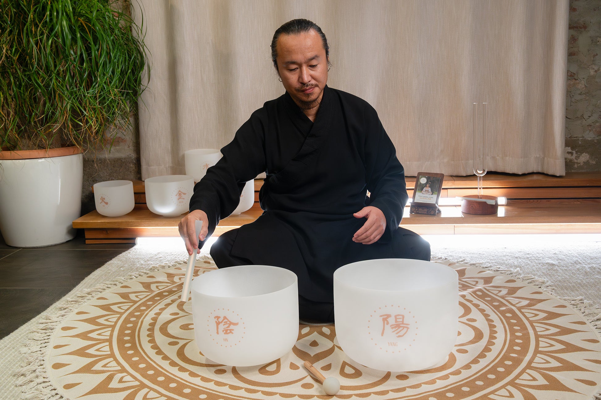 MEINL Sonic Energy 2-piece TCM Crystal Singing Bowl Yin & Yang Set detail view 8 at Luna Panther