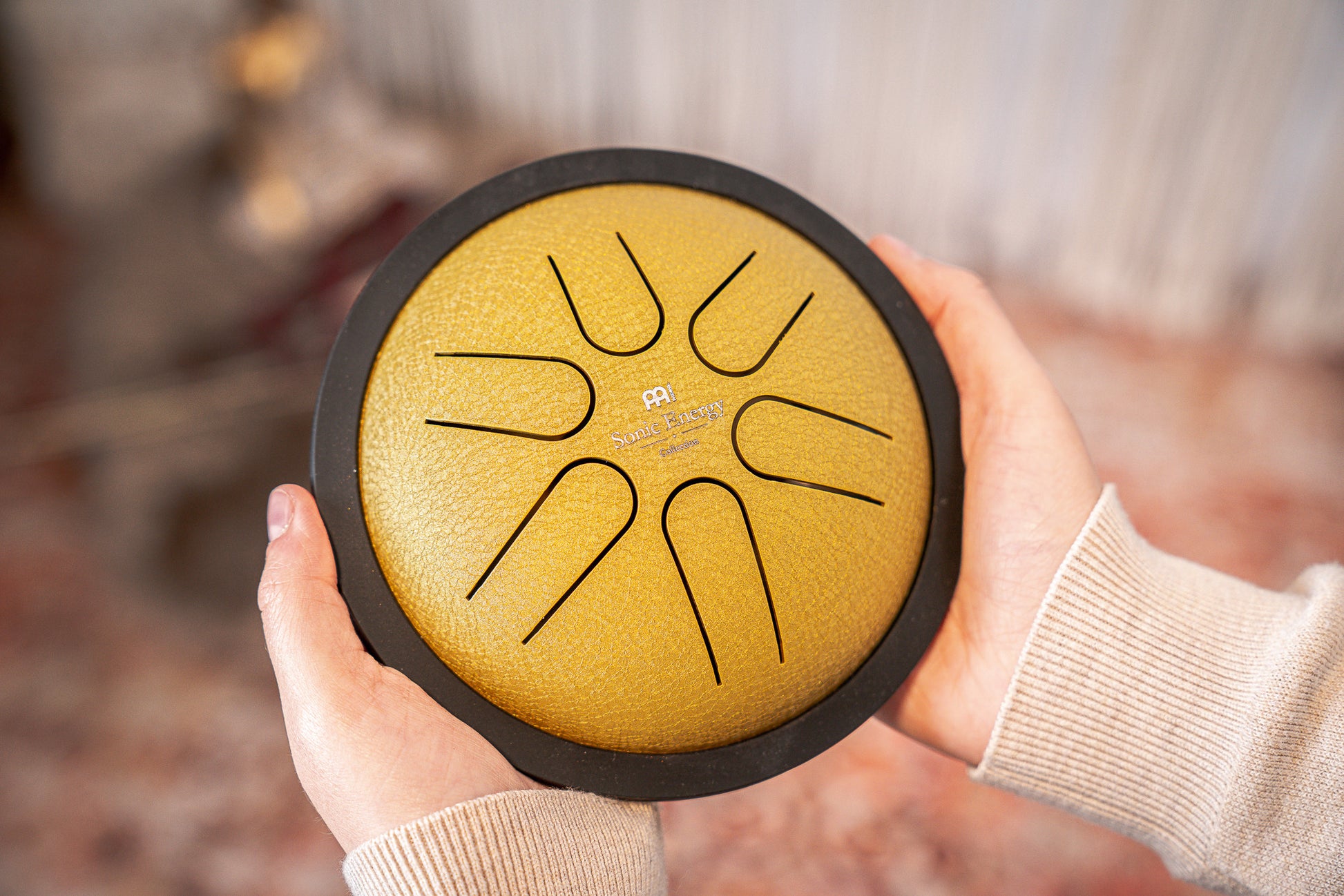 MEINL Sonic Energy Mini Steel Tongue Drum 6" - B Major/6 Notes/440 Hz - Gold detail view 10 at Luna Panther