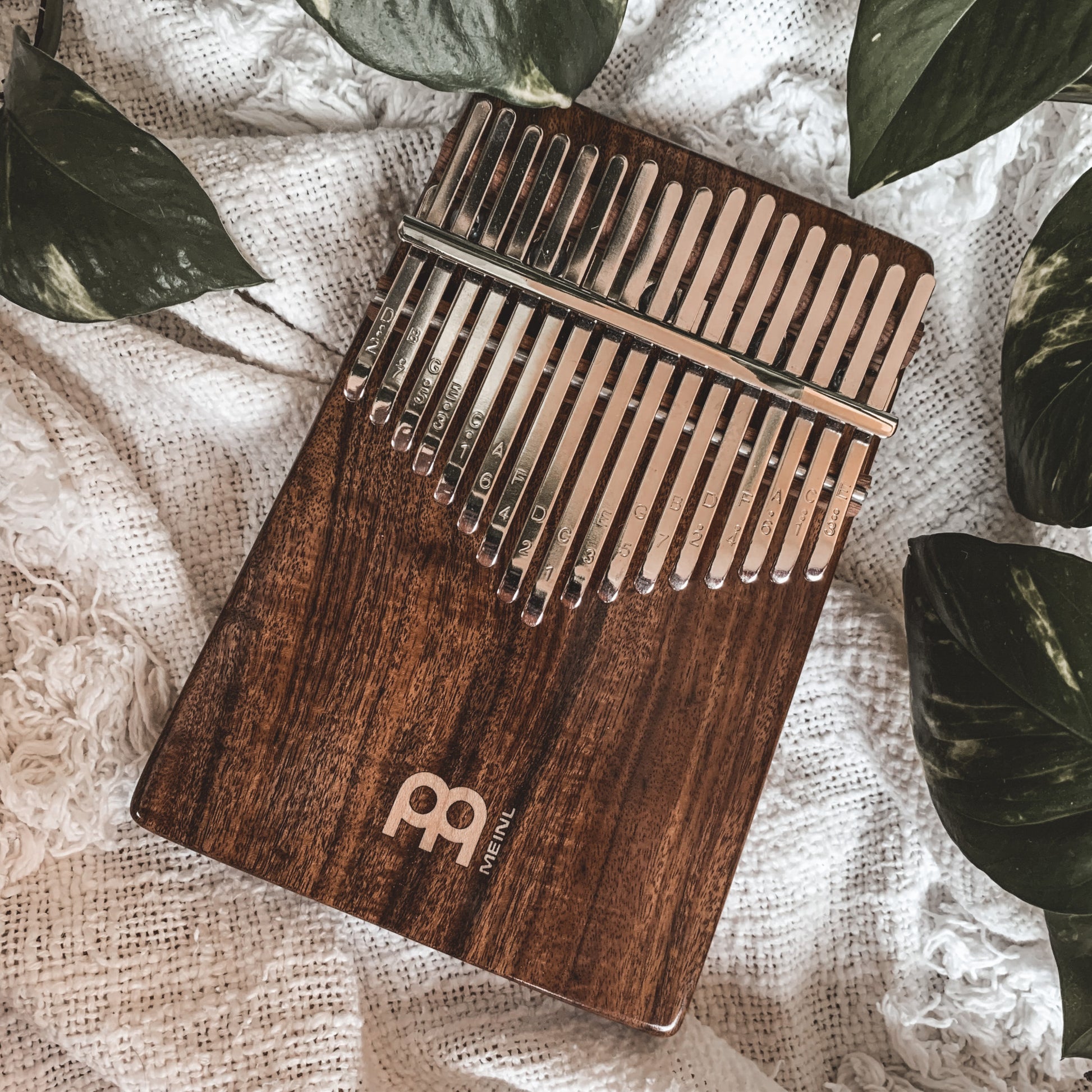 Meinl Sonic Energy Solid Kalimba - 17 notes, acacia detail view 12 at Luna Panther