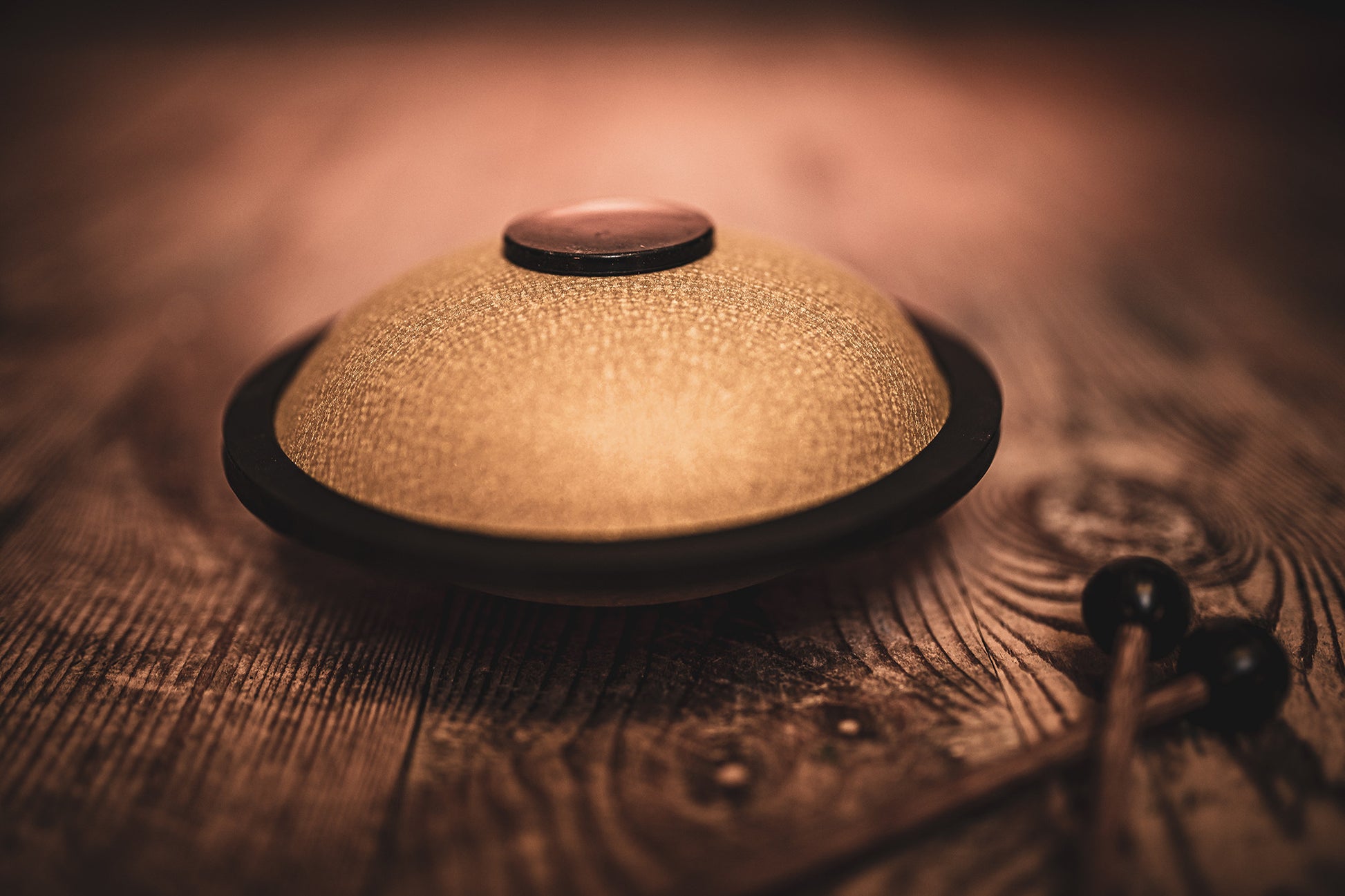 MEINL Sonic Energy Mini Steel Tongue Drum 6" - B Major/6 Notes/440 Hz - Gold detail view 8 at Luna Panther