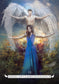 Angel Oracle
