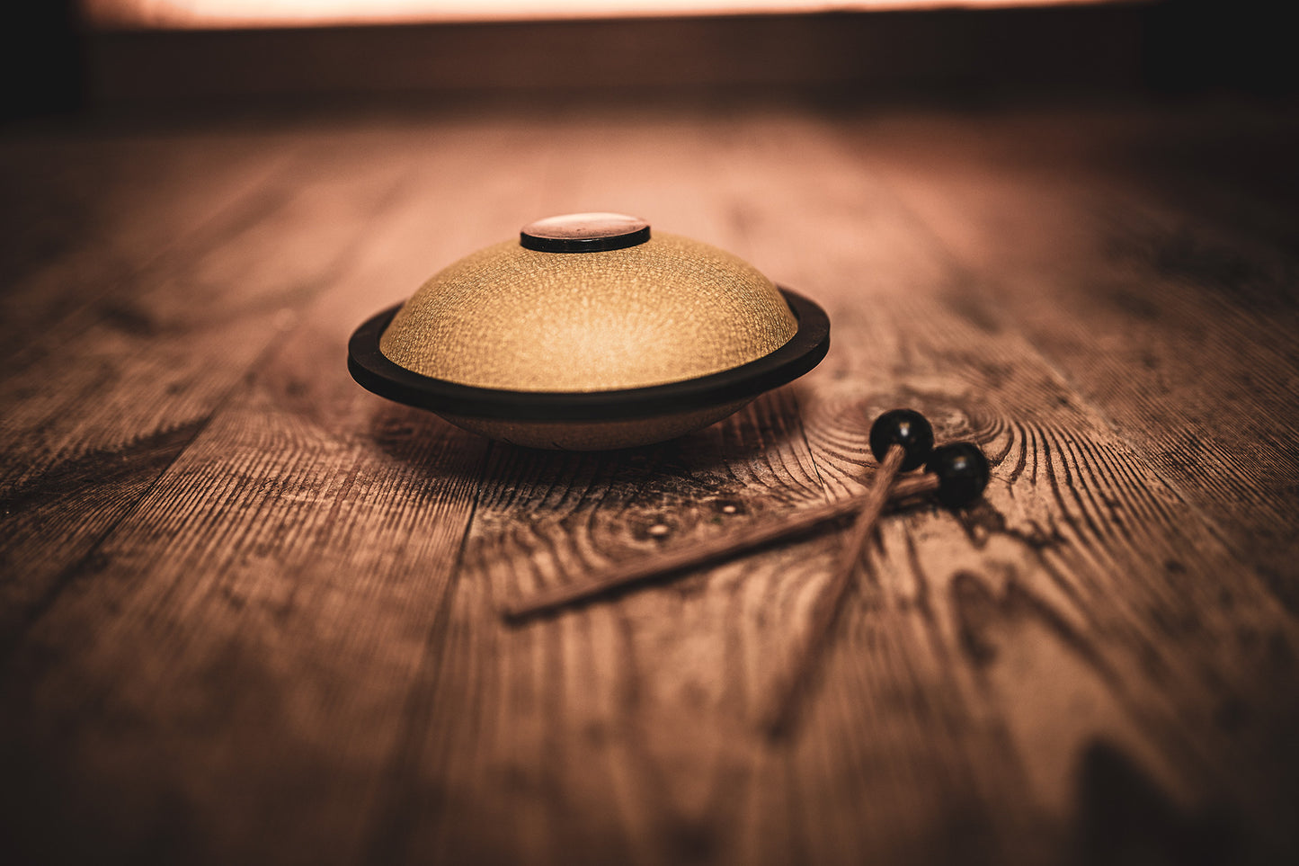 MEINL Sonic Energy Mini Steel Tongue Drum 6" - B Major/6 Notes/440 Hz - Gold detail view 7 at Luna Panther