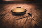 MEINL Sonic Energy Mini Steel Tongue Drum 6" - B Major/6 Notes/440 Hz - Gold detail view 7 at Luna Panther