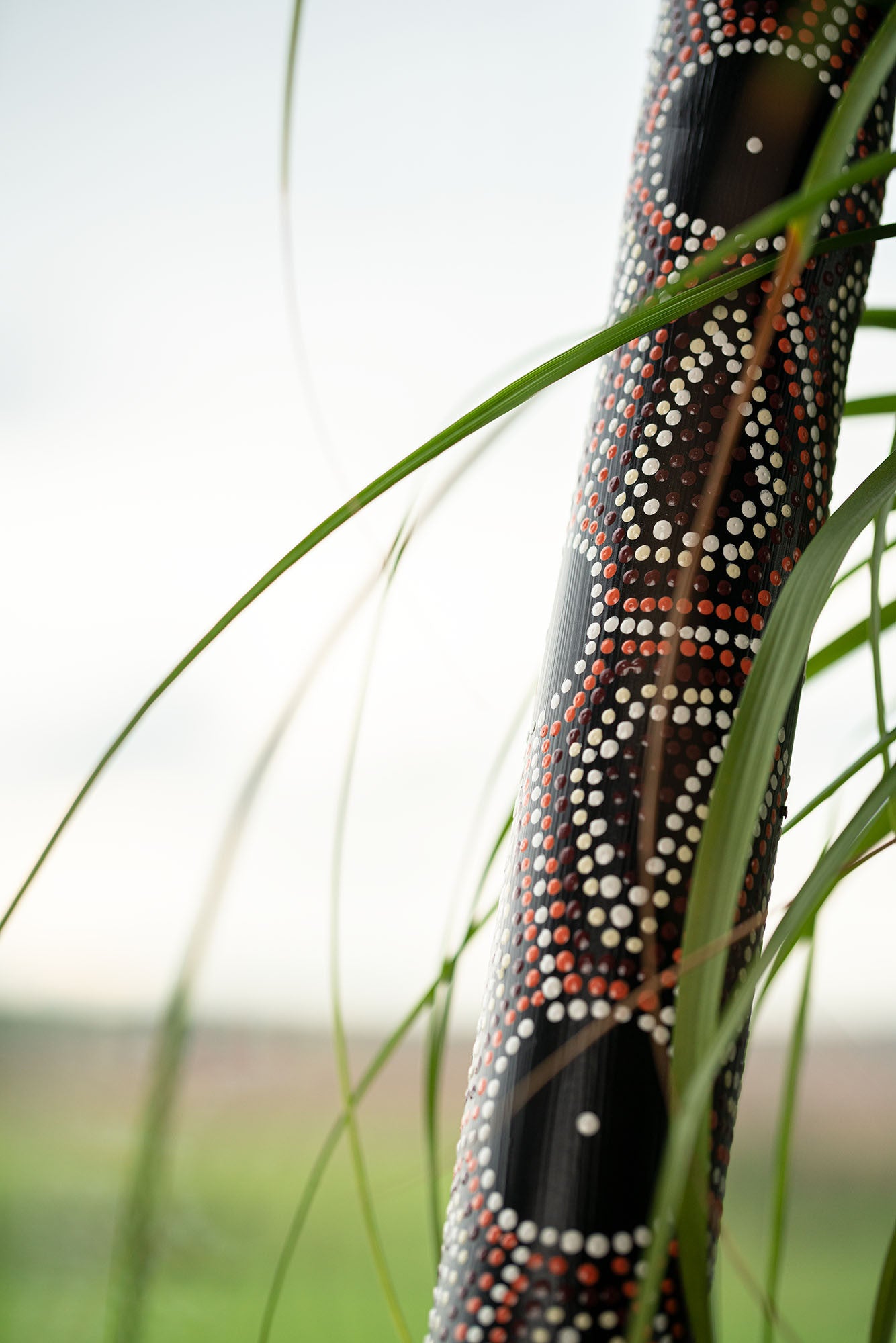 MEINL Sonic Energy Bamboo Rainstick Medium - Dot Painted/Black detail view 3 at Luna Panther