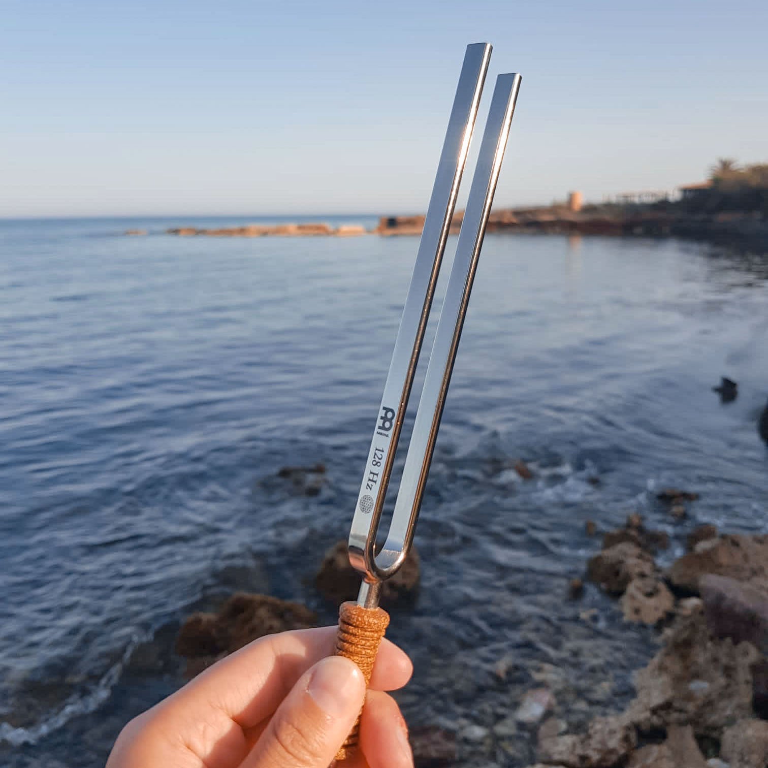 MEINL Sonic Energy Tuning Fork - Flower of Life - 128 Hz/C3 detail view 4 at Luna Panther