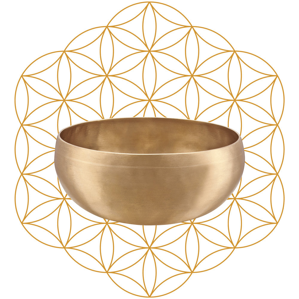 MEINL Sonic Energy Synthesis Series Flower of Life Singing Bowl - 1000g detail view 3 at Luna Panther