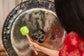 MEINL Sonic Energy Gong Mallet Small - Pure Green detail view 2 at Luna Panther