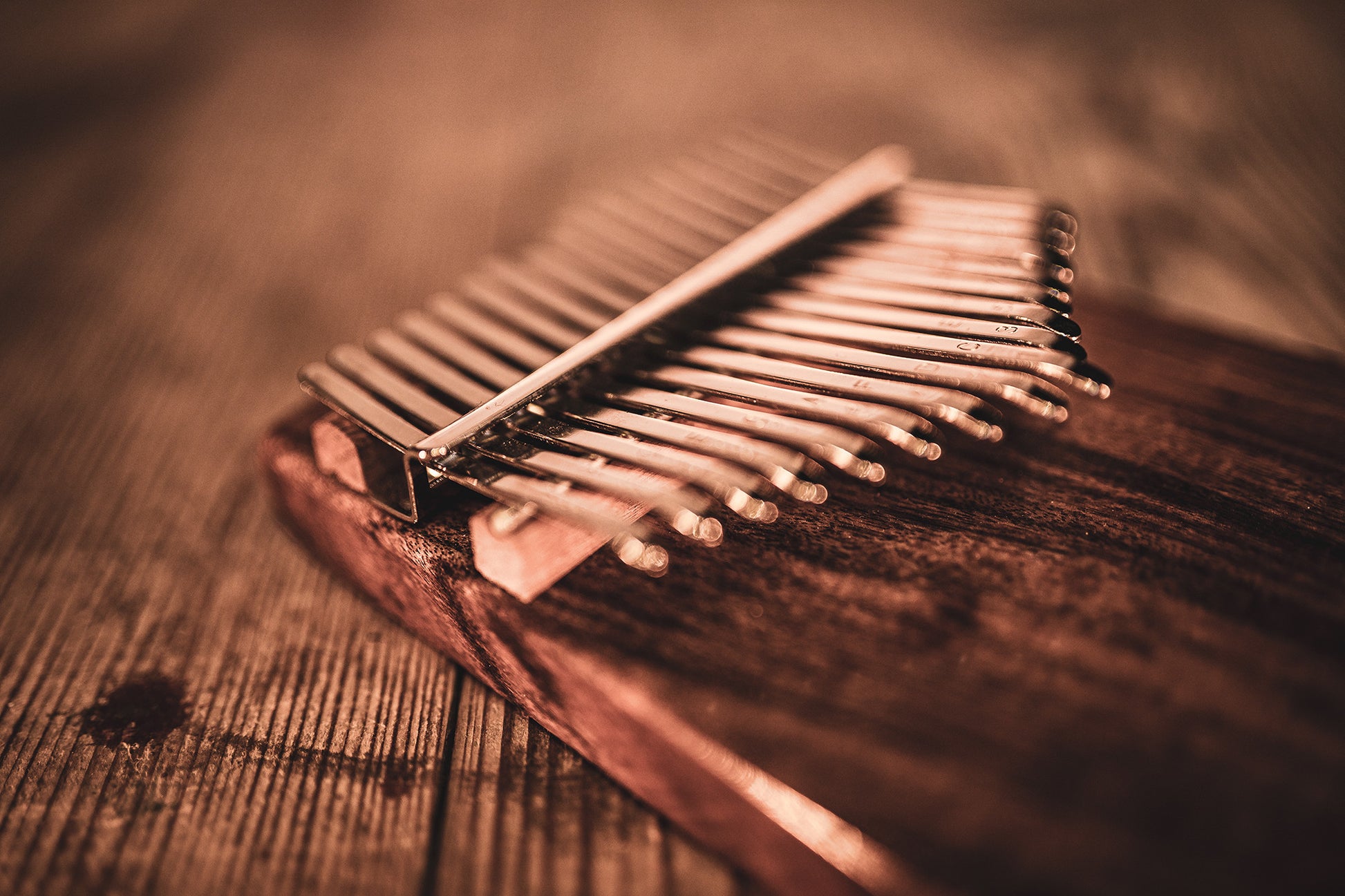Meinl Sonic Energy Solid Kalimba - 17 notes, acacia detail view 10 at Luna Panther