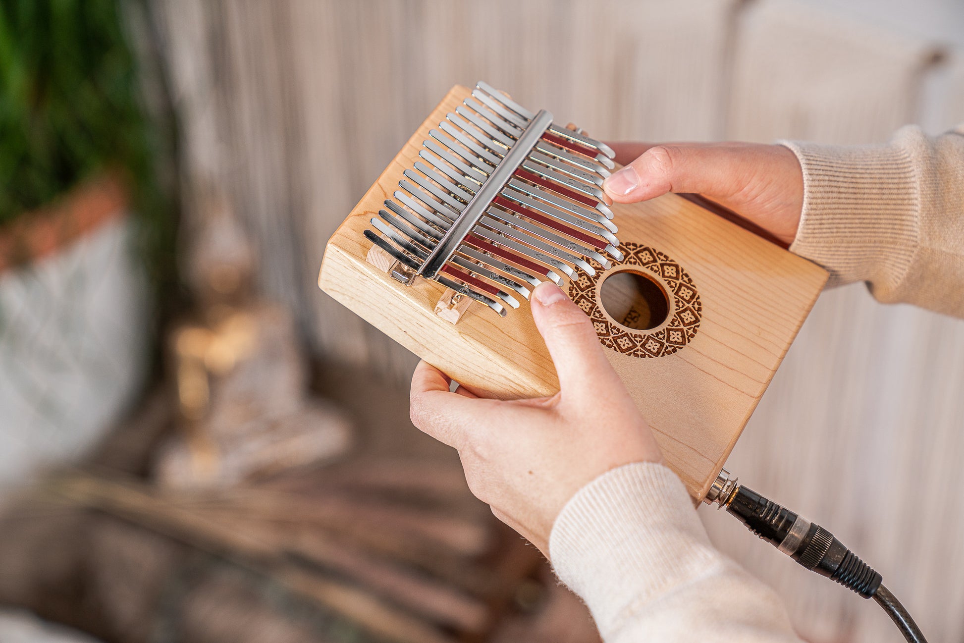 Meinl Sonic Energy Soundhole Pickup Kalimba - 17 notes, maple detail view 2 at Luna Panther