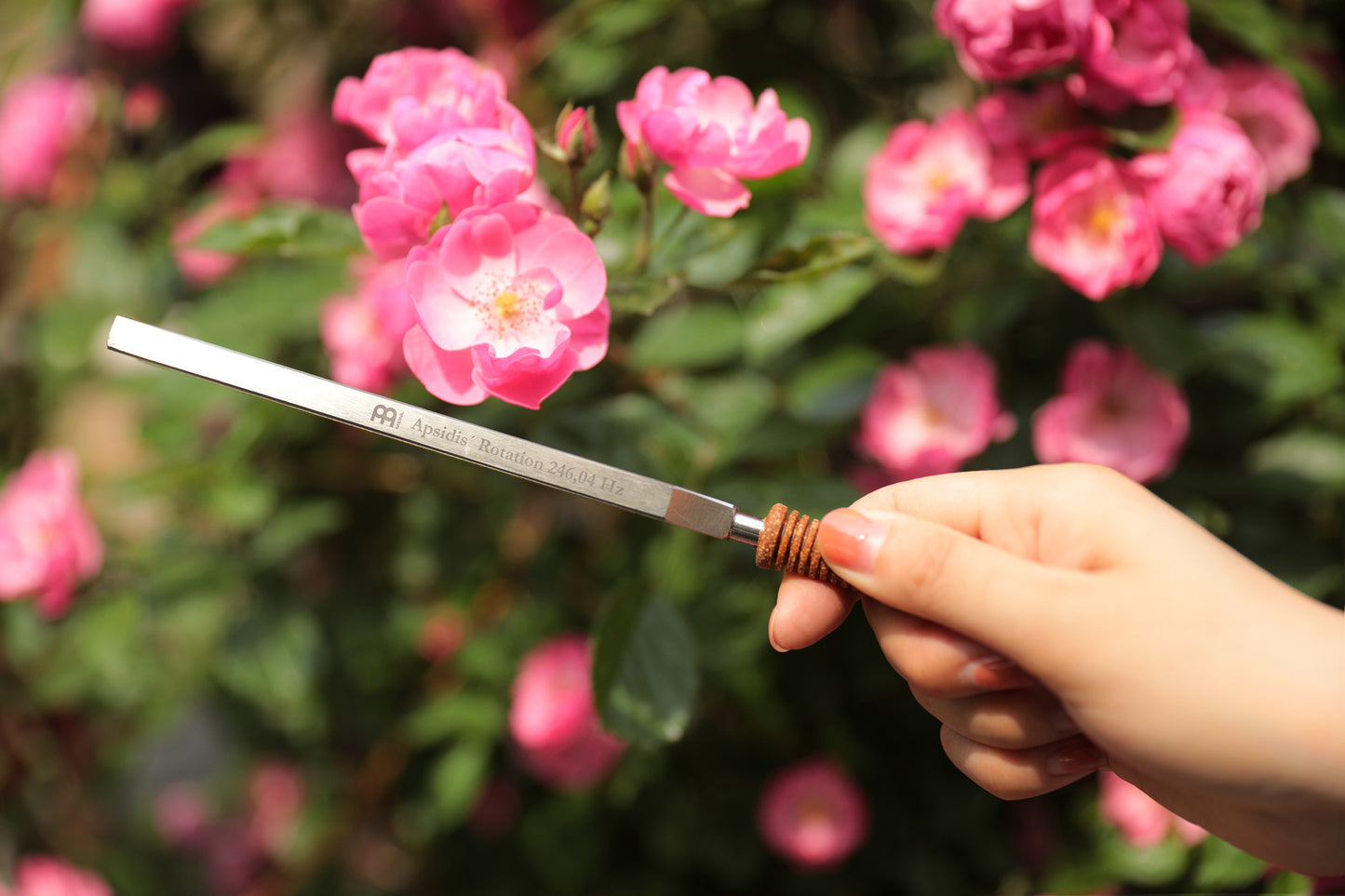 MEINL Sonic Energy Therapy Tuning Fork - Apsidis' Rotation - 246.04 Hz/E3 detail view 8 at Luna Panther