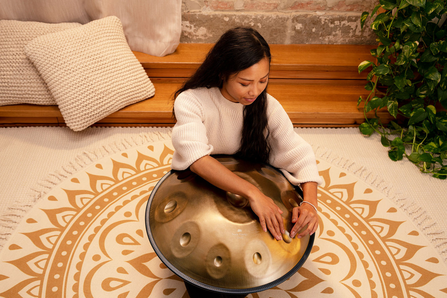 MEINL Sonic Energy Sensory Handpan Stainless Steel D Amara 10 Notes 440 Hz - Vintage Gold detail view 4 at Luna Panther