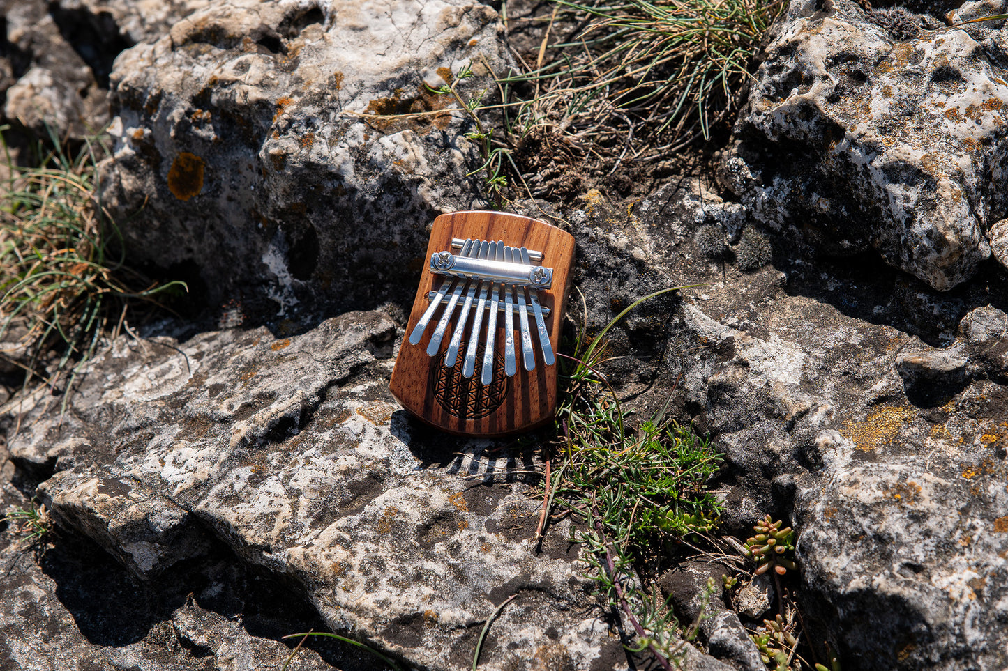 Meinl Sonic Energy Solid "Flower of Life" Mini Kalimba - 8 notes, Red Zebrawood detail view 13 at Luna Panther