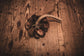 MEINL Sonic Energy Pangi Shaker - Small detail view 6 at Luna Panther