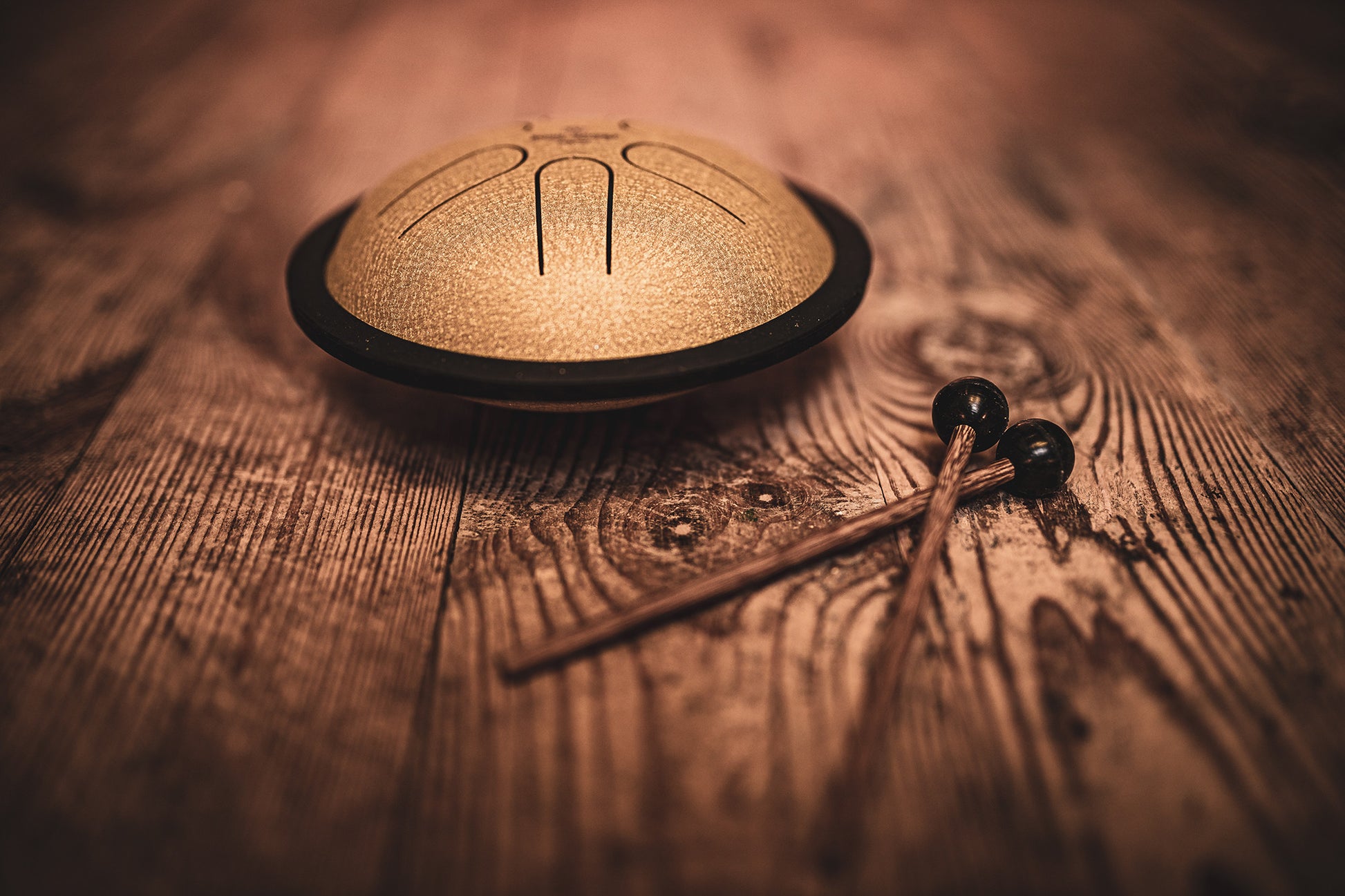 MEINL Sonic Energy Mini Steel Tongue Drum 6" - B Major/6 Notes/440 Hz - Gold detail view 5 at Luna Panther